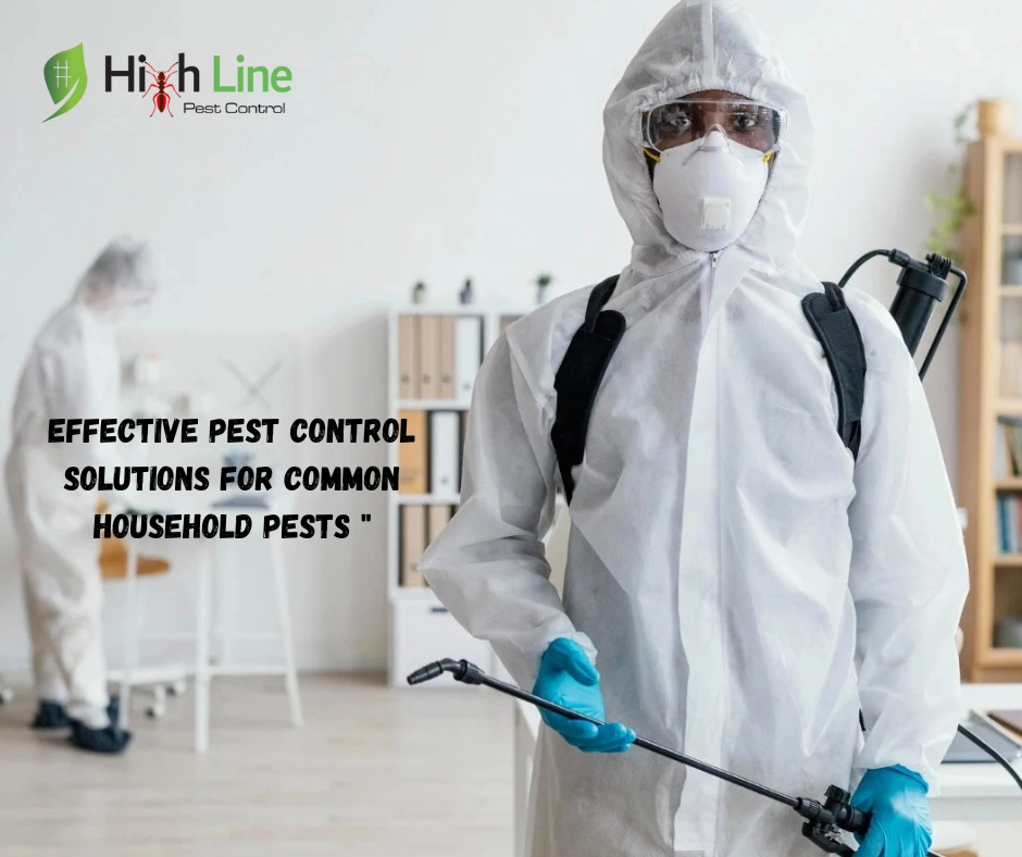 Blogs - Pest Control Dubai : Best Pest Control Company Dubai , Uae | Highline Pest Control