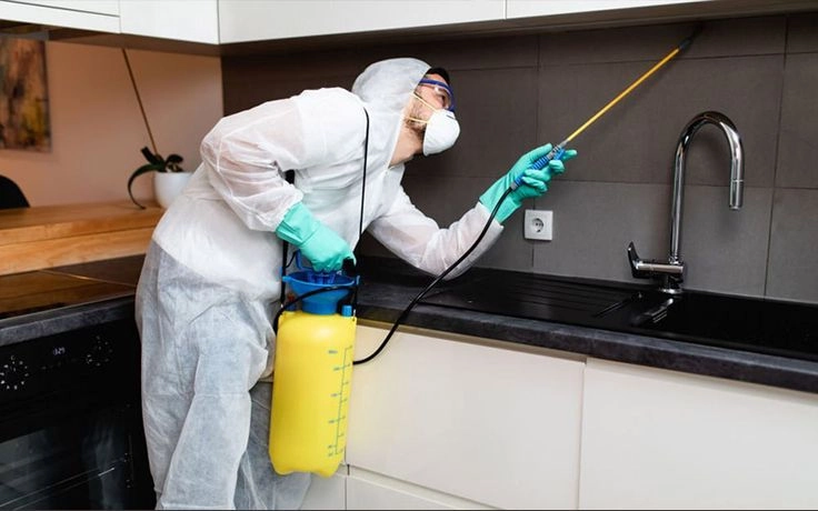 Service - Best Pest Control Company in Dubai ,Uae | Highline Pest Control