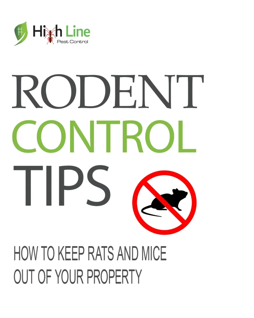 Blogs - Best Pest Control Company Dubai , Uae | Highline Pest Control