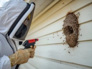 Service - Best Pest Control Company in Dubai ,Uae | Highline Pest Control