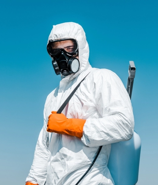 Discover reliable pest control solutions for cockroaches, ants, bed bugs, rodents, and termites. Learn about safe, effective, and long-lasting treatments that keep your home protected and hygienic — with expert pest control services delivered by the Best Pest Control Company in Dubai.