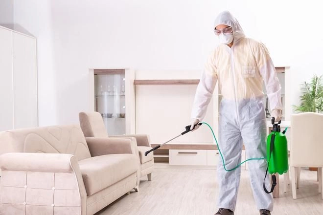 Service - Best Pest Control Company in Dubai ,Uae | Highline Pest Control